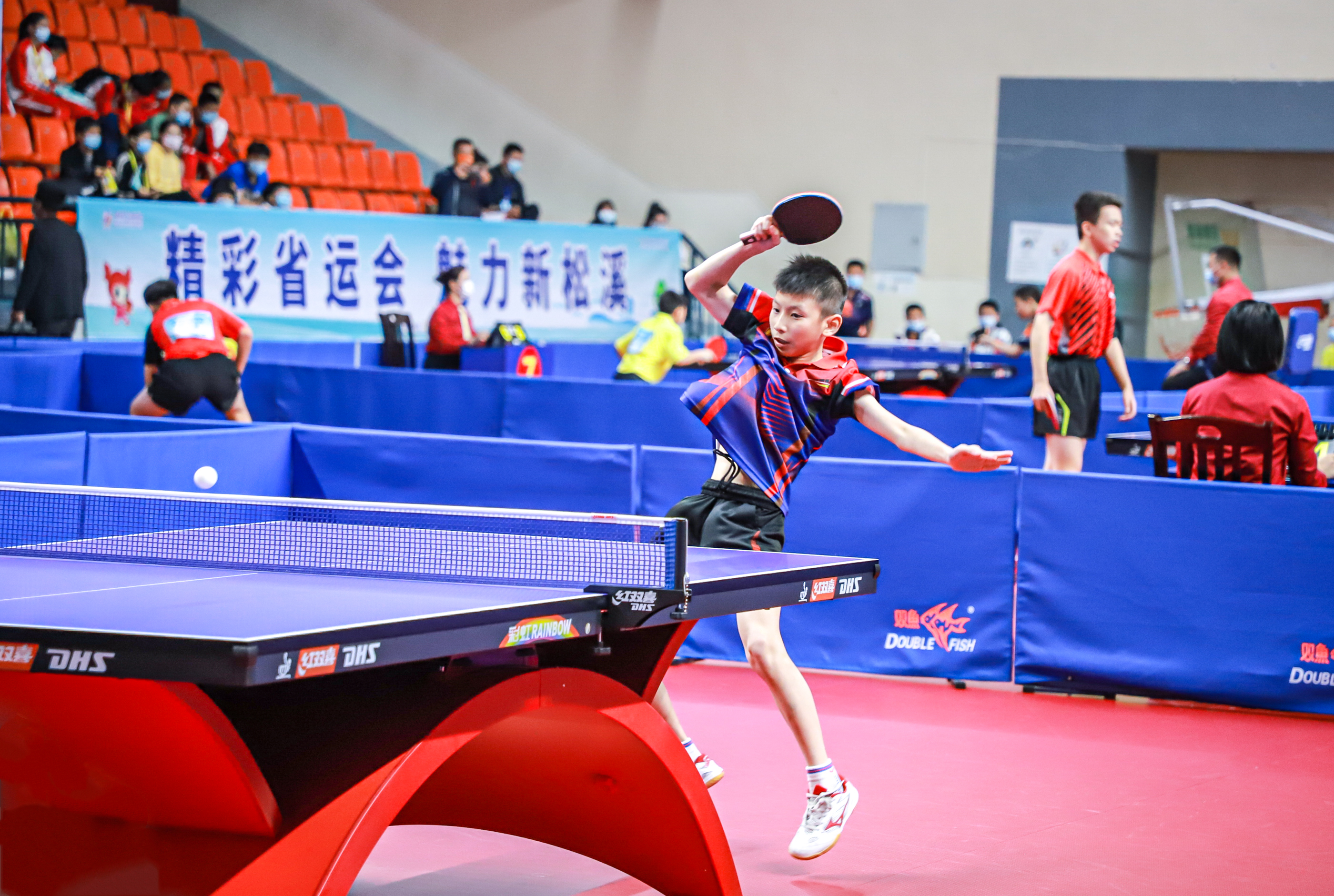 两周胜率摇 两周胜率摇